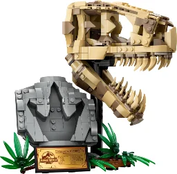 Dinosaur Fossils